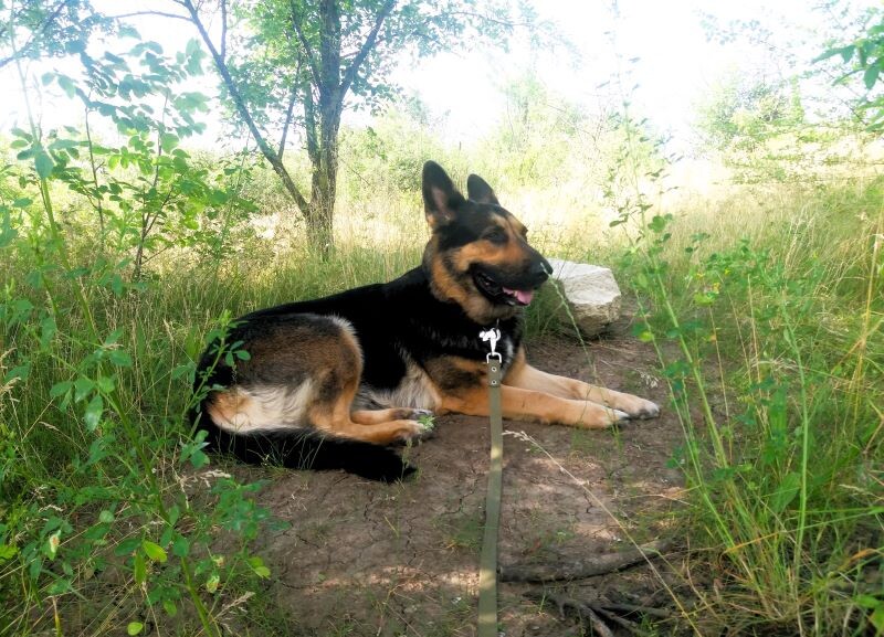 Фото автора