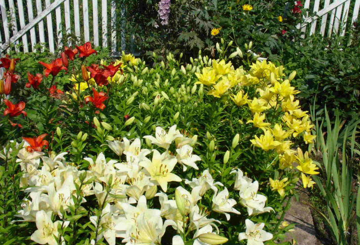 Фото изоткрытых источников.