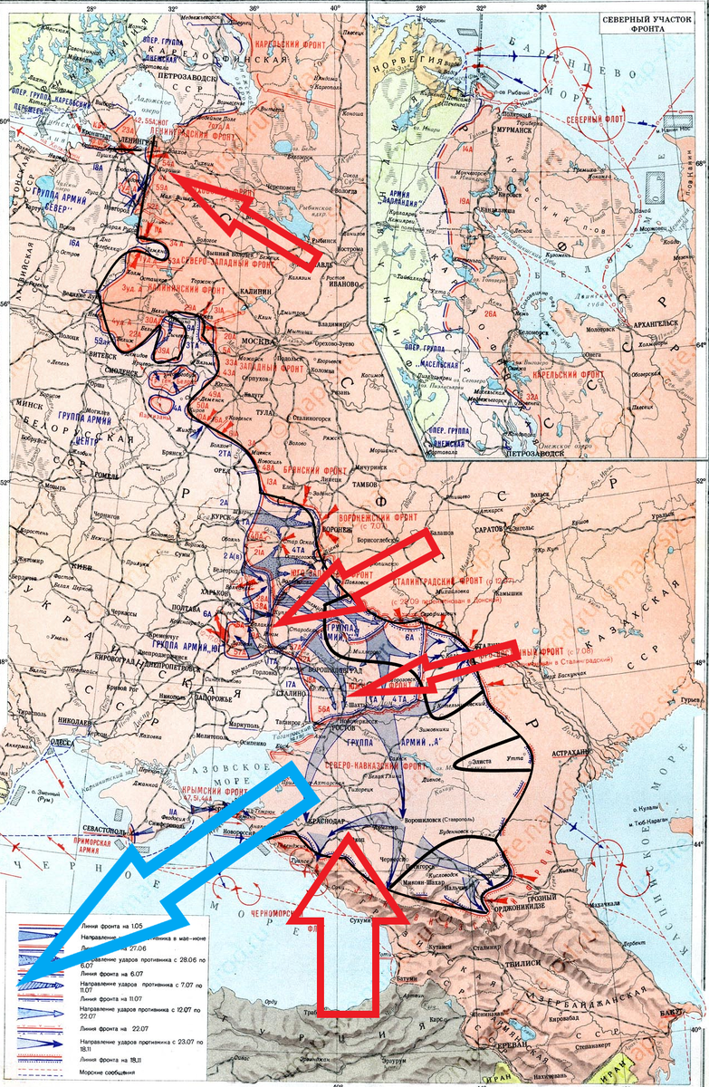 (Фото взято из открытых источников).