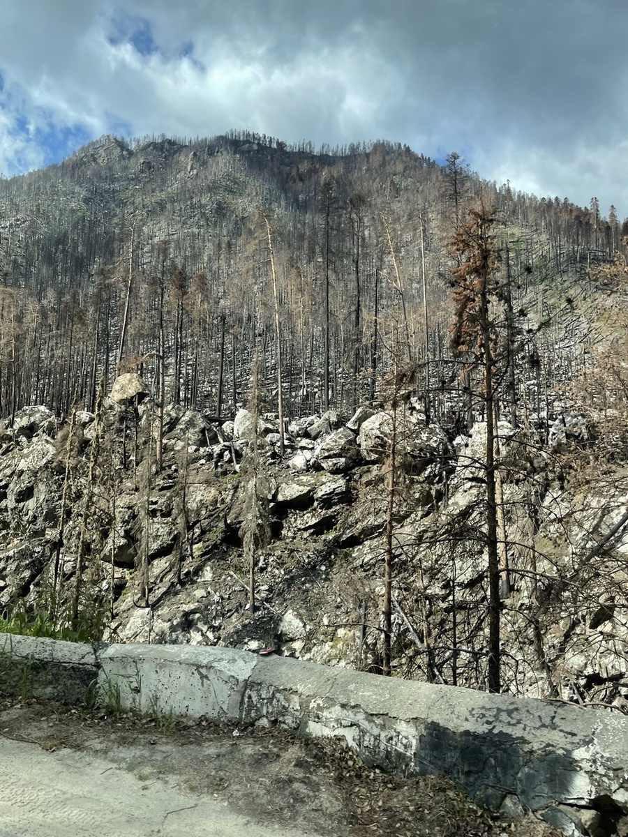 Страшные последствия пожара...