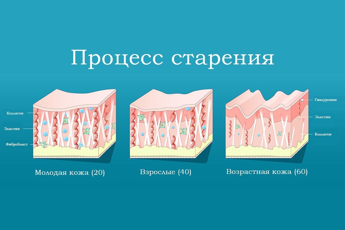    Designua / Shutterstock / FOTODOM