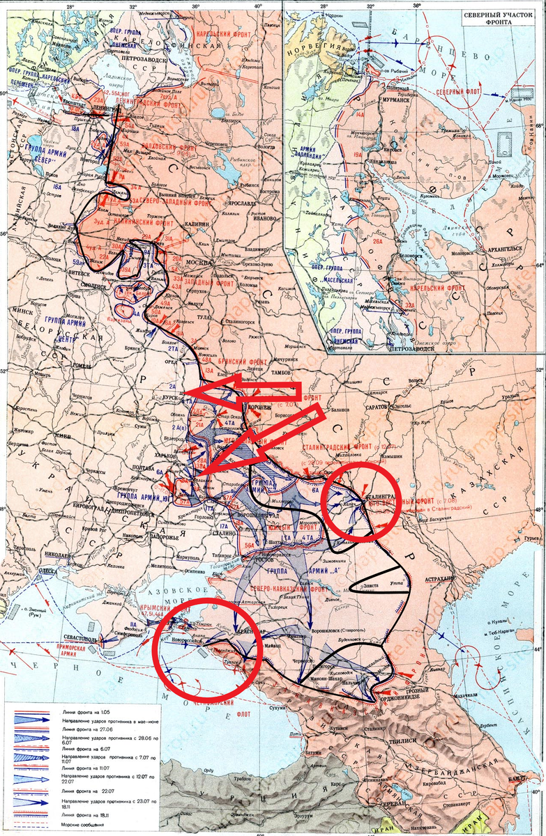 (Фото взято из открытых источников).