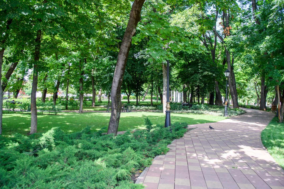    Фото: пресс-служба администрации Краснодара