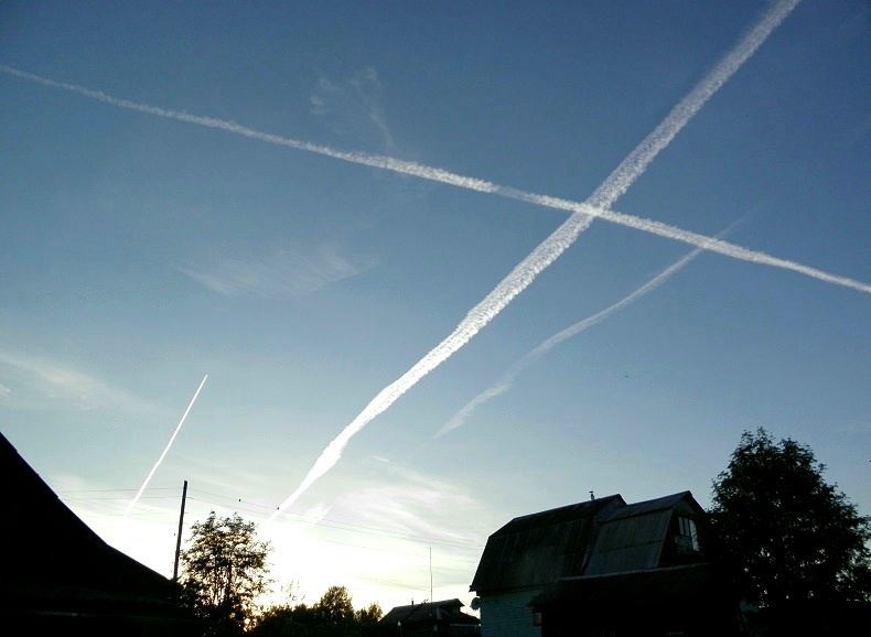 Фото автора.