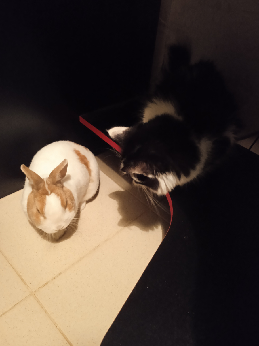 Какой Вы очаровательный! Мистер Блинчик! 