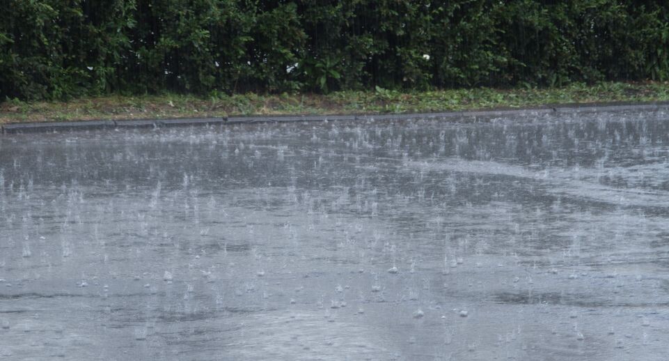    Ливень / Медиасток.рф