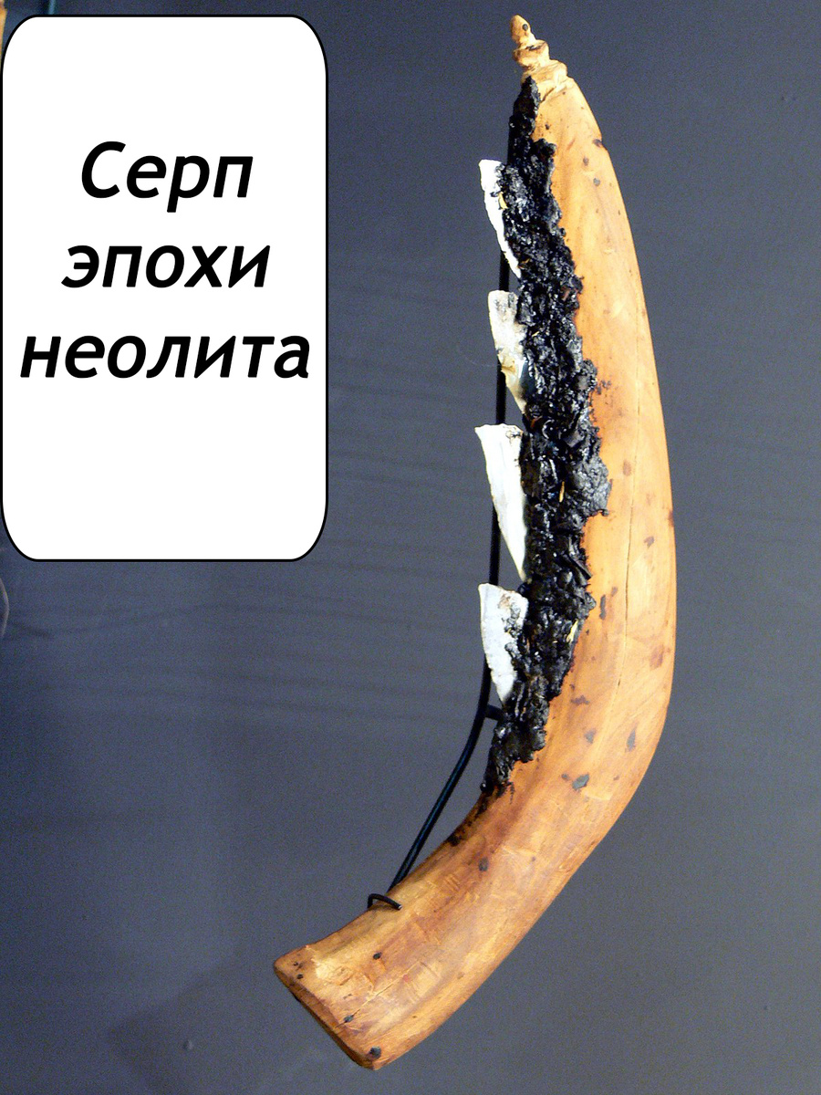 Автор: Wolfgang Sauber, Museum Quintana.


