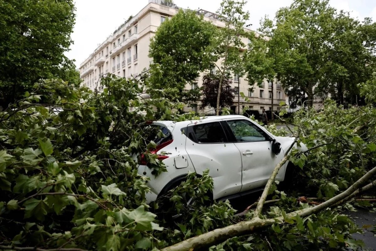    Повсюду валяются сломанные деревья, конструкции, которые во время дождя летали по воздуху.
