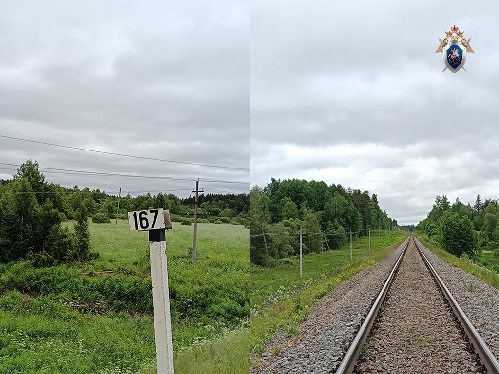    Фото: СУ СК России по Республике Карелия / ВК