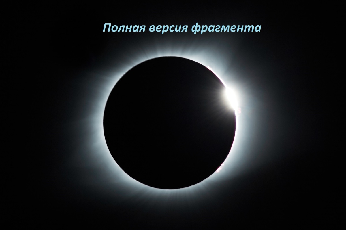 Фото: Mathew Schwartz с сайта unsplash.com