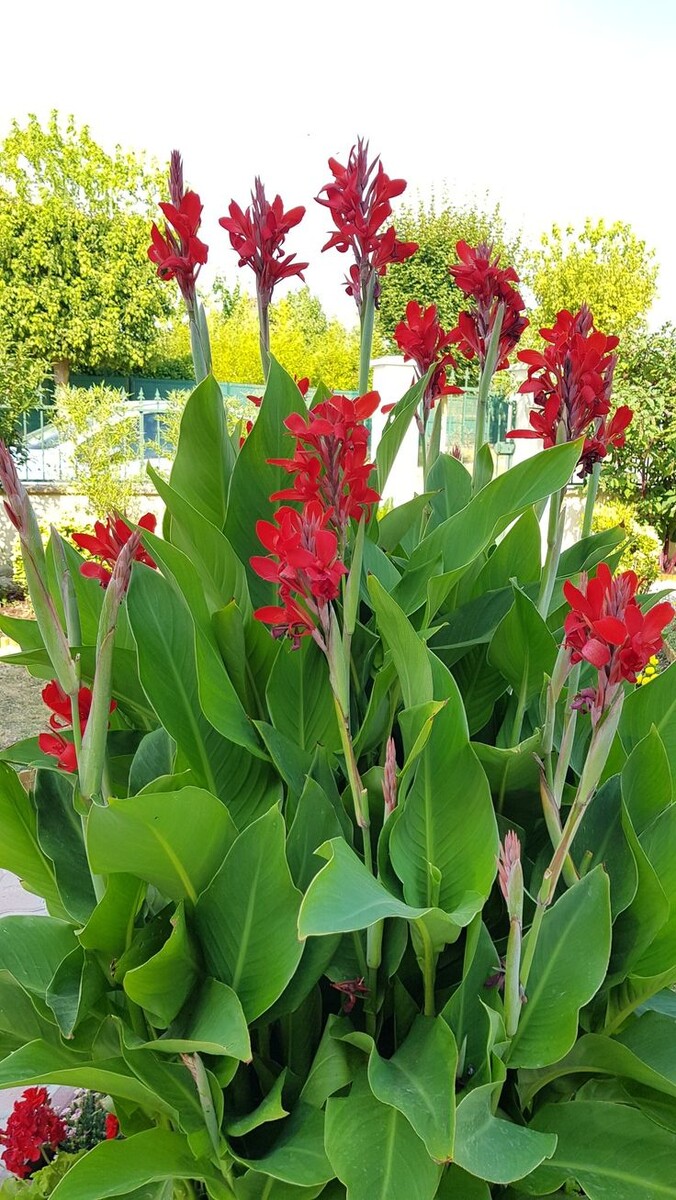 Канны. Источник фото Pinterest