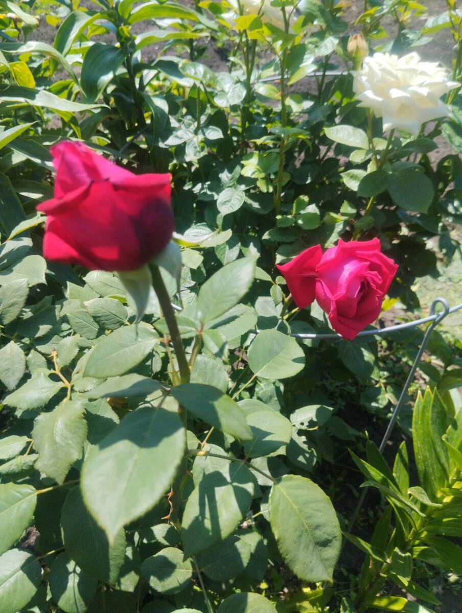 фото Татьяны