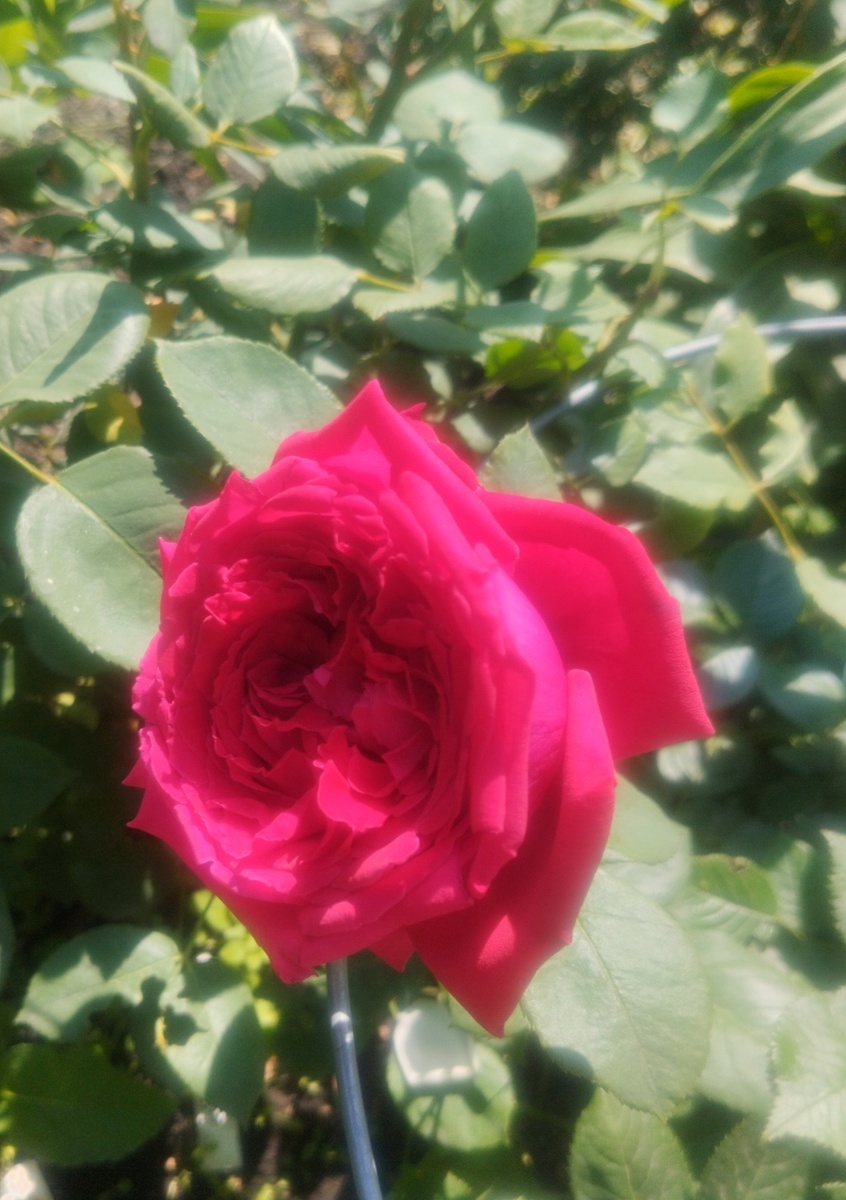 фото Татьяны