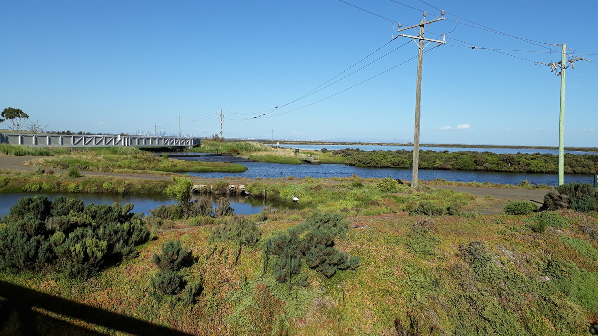 На горизонте дома высотные видите? Вот нам чуть ближе чем туда.
