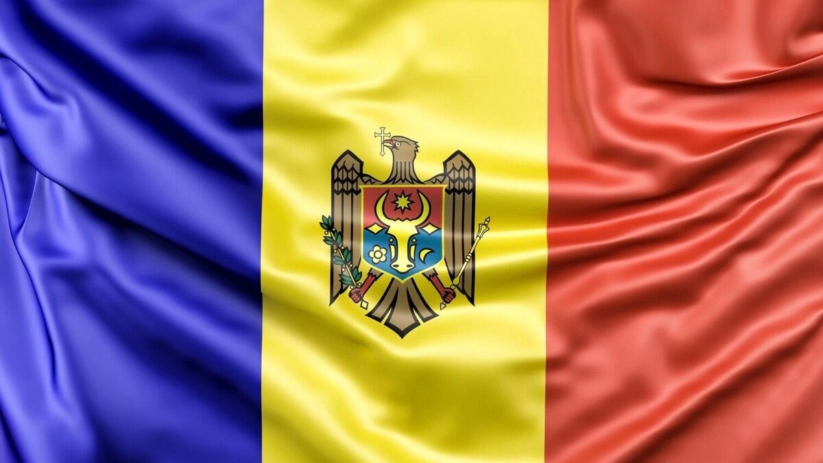     Автор: www.slon.pics Источник: freepik.com