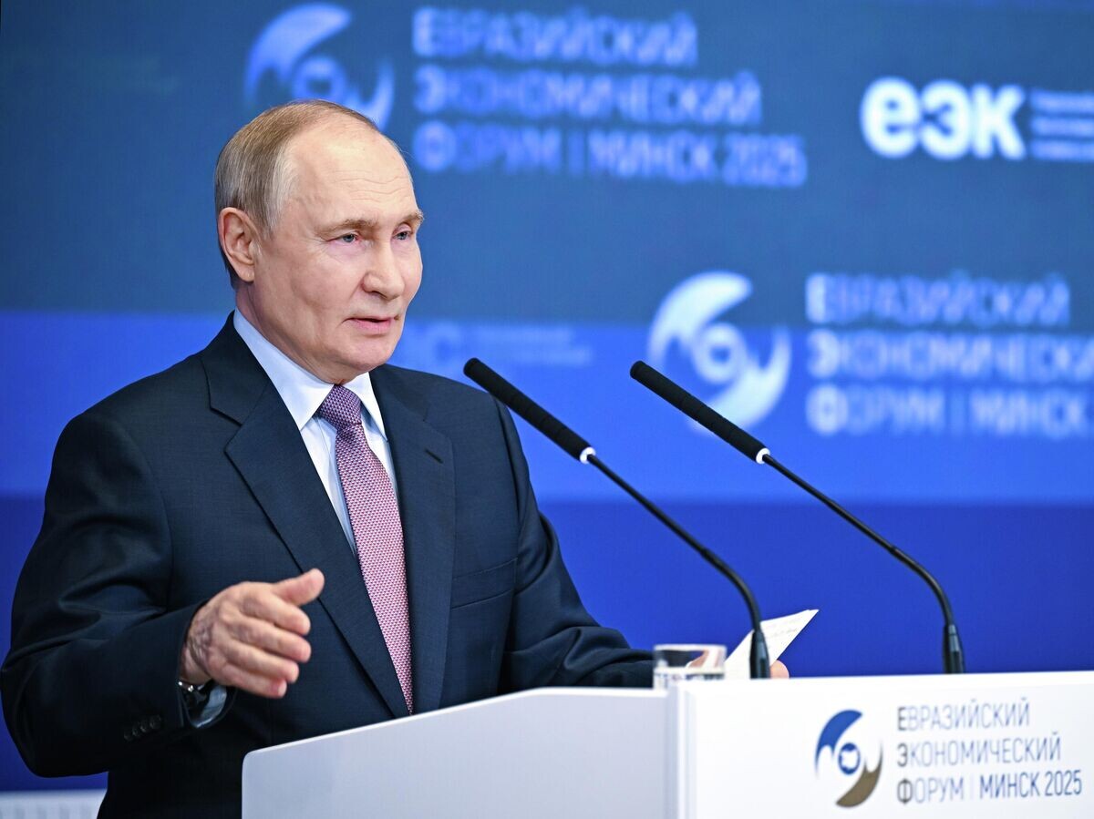    Президент России Владимир Путин принимает участие в пленарном заседании IV Евразийского экономического форума в Минске© РИА Новости / Сергей Бобылев