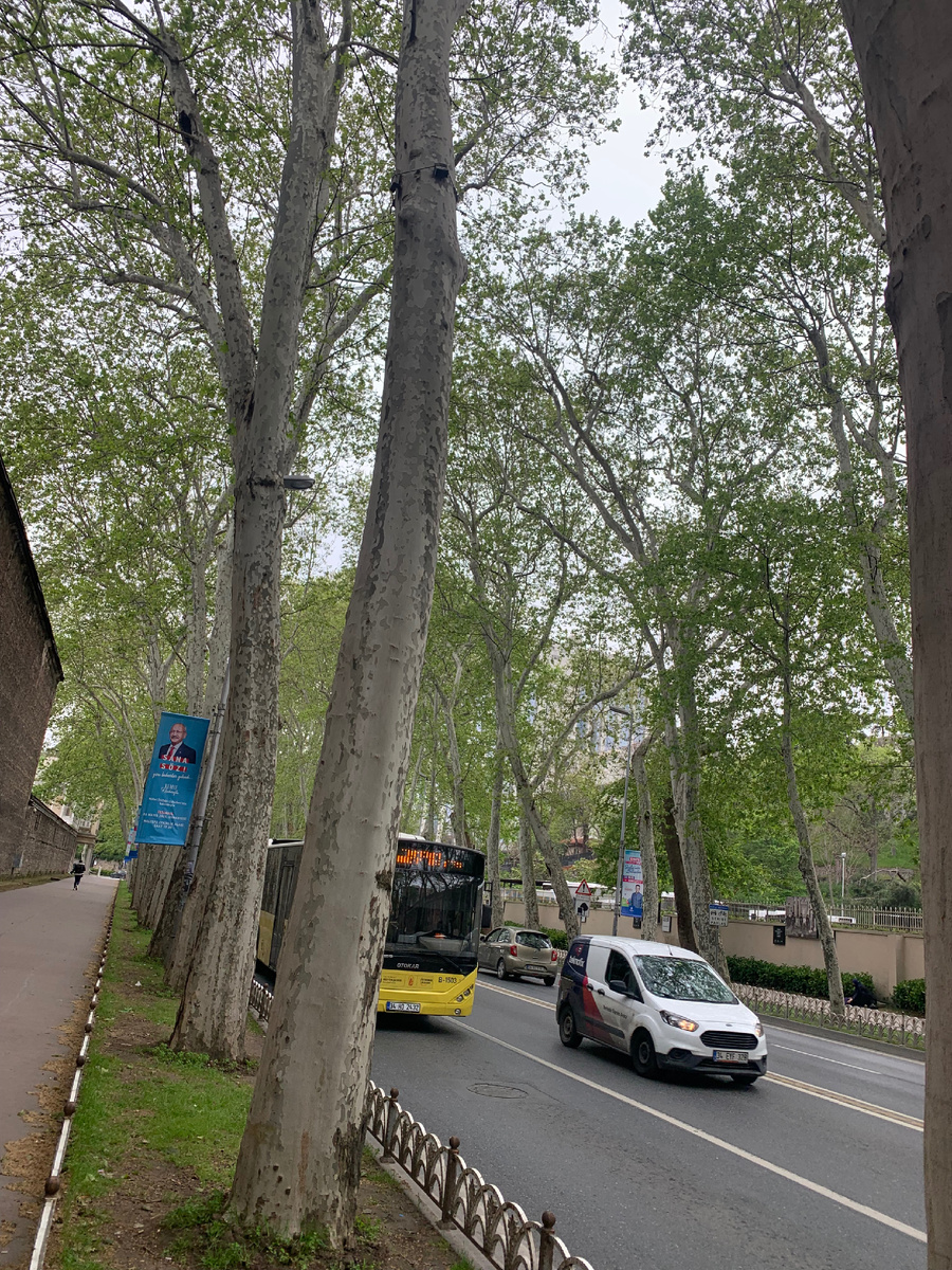 Личное фото 