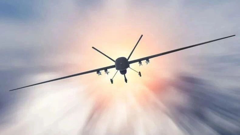    Фото: aappp/Shutterstock/Fotodom