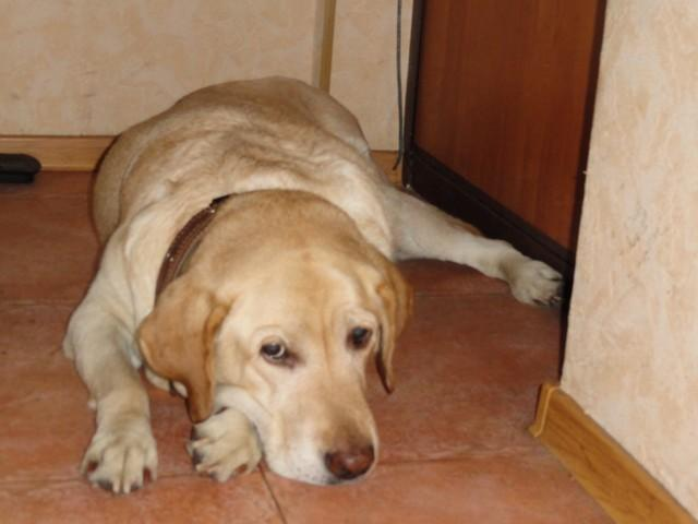 Фото с otvet.mail.ru для примера