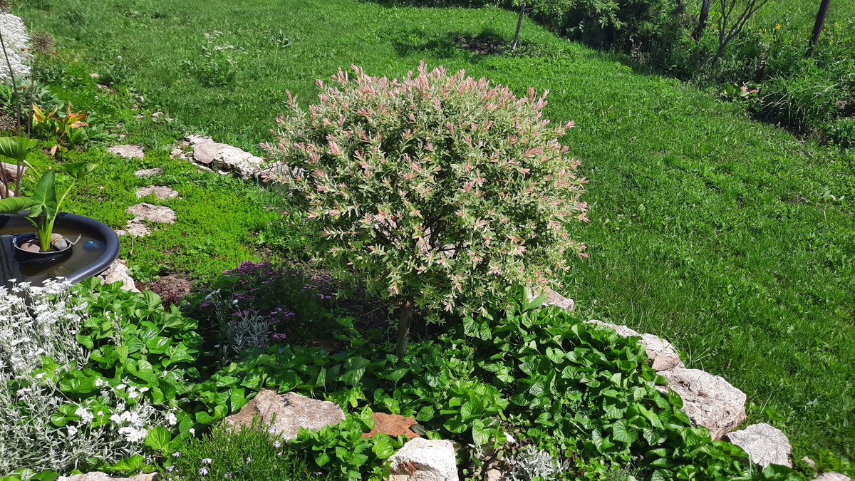 Фото автора