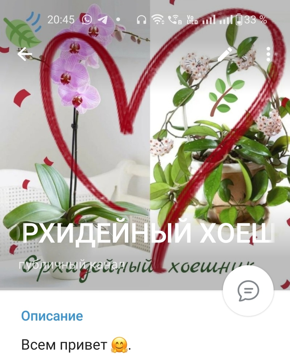 Приглашаю  на свой телеграмм канал . Делюсь новостями и находками ,а так же покупками . Фото и видео в реальном режиме . Всем рада : https://t.me/orhohoya