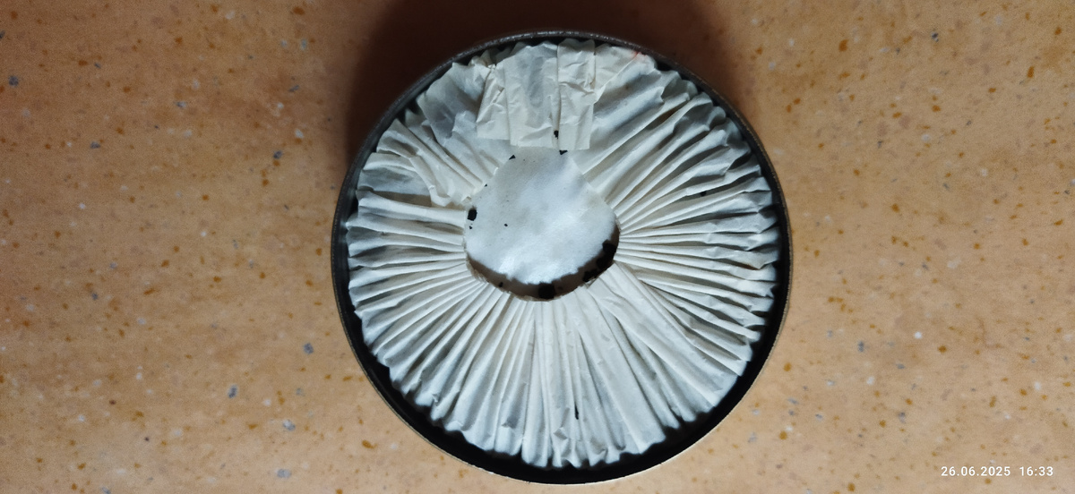 Табак накрыт кружком из плотной кальки и снизу края поднимаются, собраны в некую гармошку. Про открытии пахнет одуряюще - концентрированный аромат. Мне не знакомый