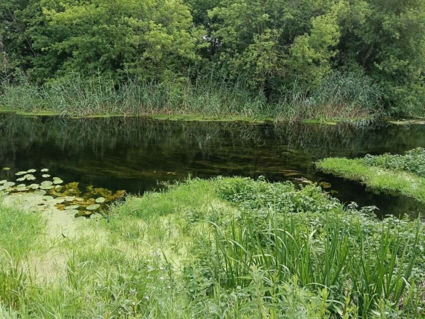    Дирекция ООПТ.