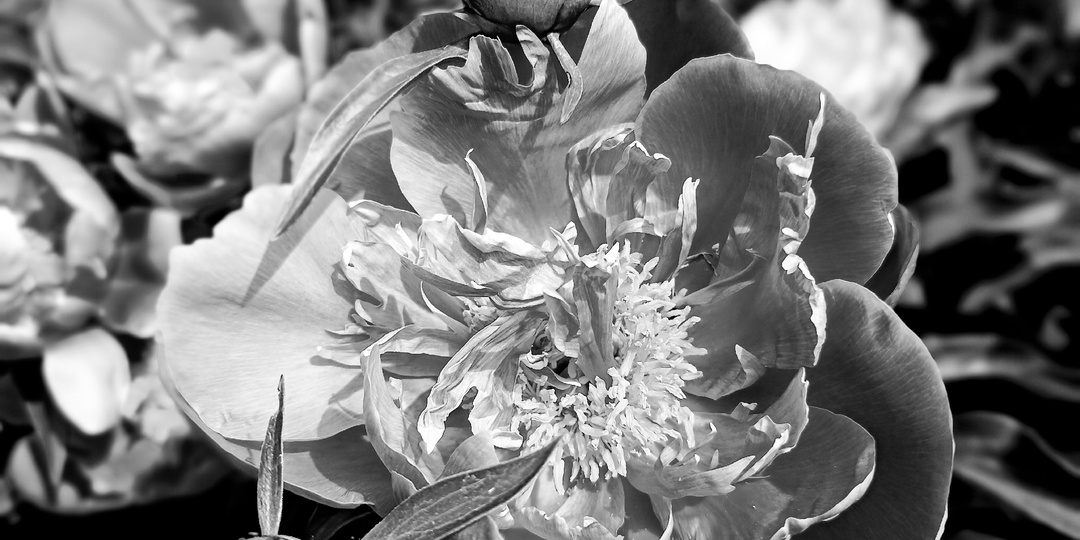 Мамы больше нет