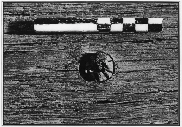 Отверстие, просверленное лучковым сверлом, и шкант. Всё сделано сугубо каменными орудиями.