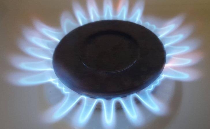    Фото: Курские известия