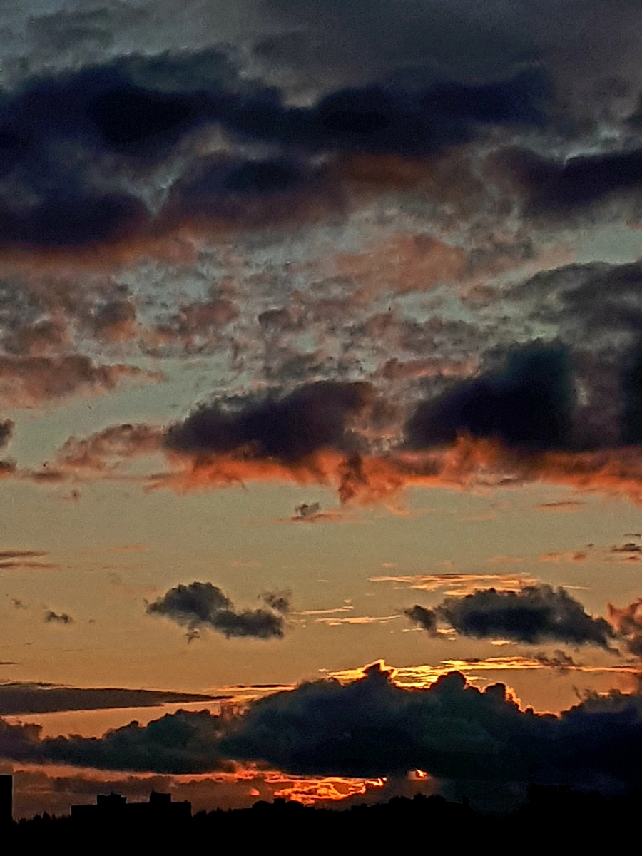 Фото автора 26.06.2025г.