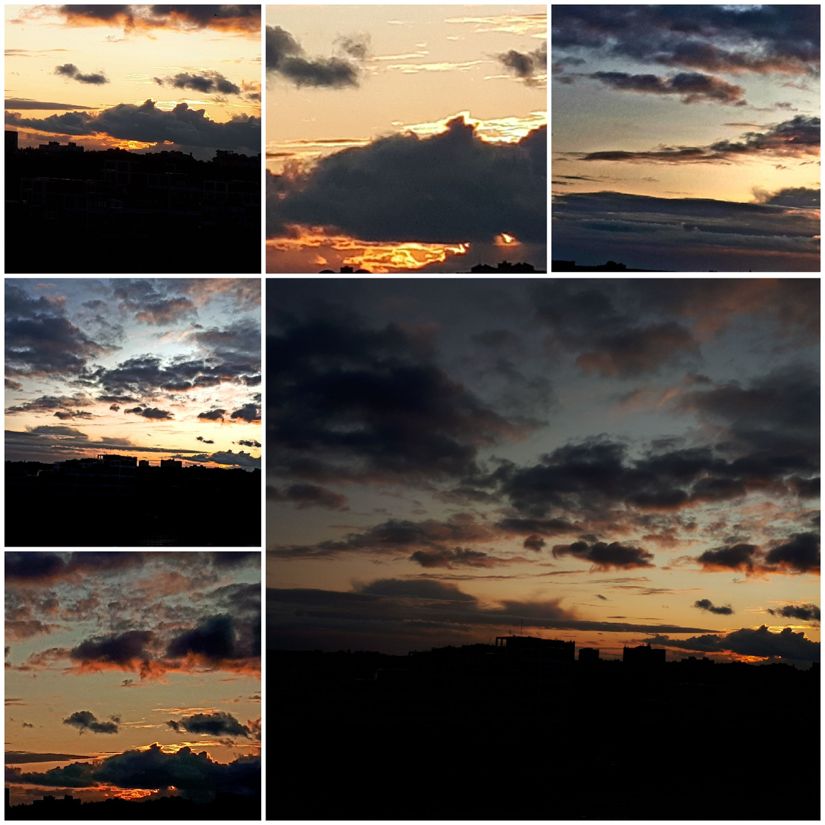 Фото автора 26.05.2025г.