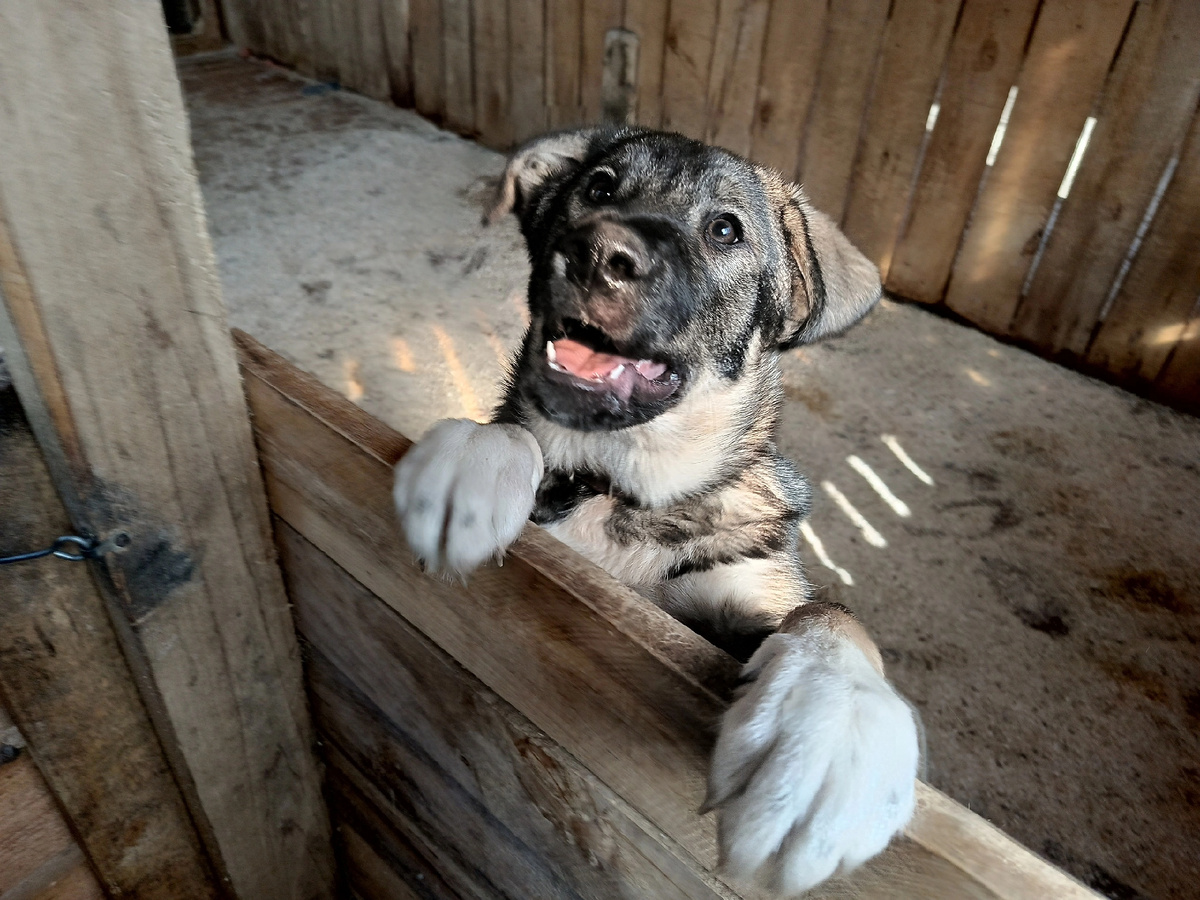 Арес так ждал! И дождался)))