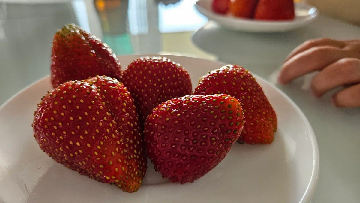 Вот такой у нас в этом сезоне урожай: крупная, сладкая, и в очень большом количестве