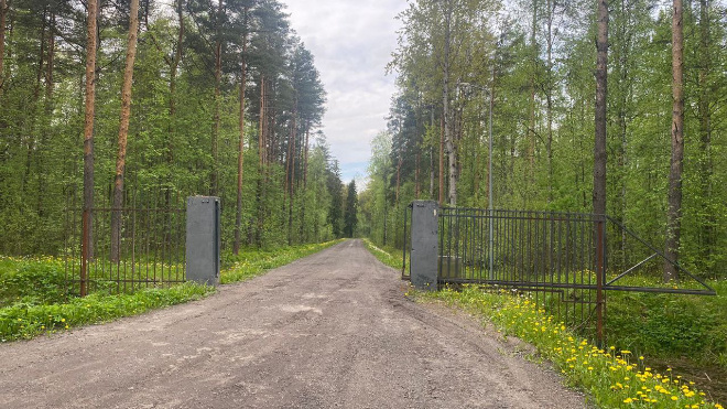 Фото: прокуратура Ленинградской области