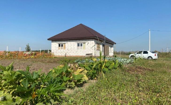    Фото: Курские известия