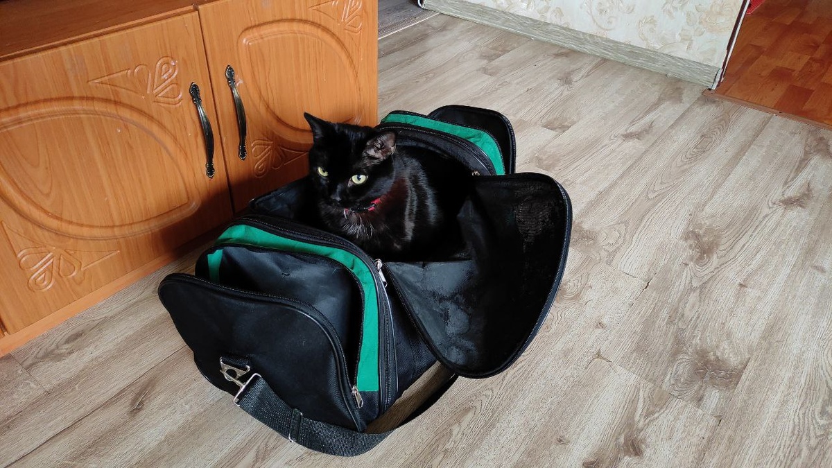 Что же.... раз коробки у вас не нашлось, приходится довольствоваться малым ---->>