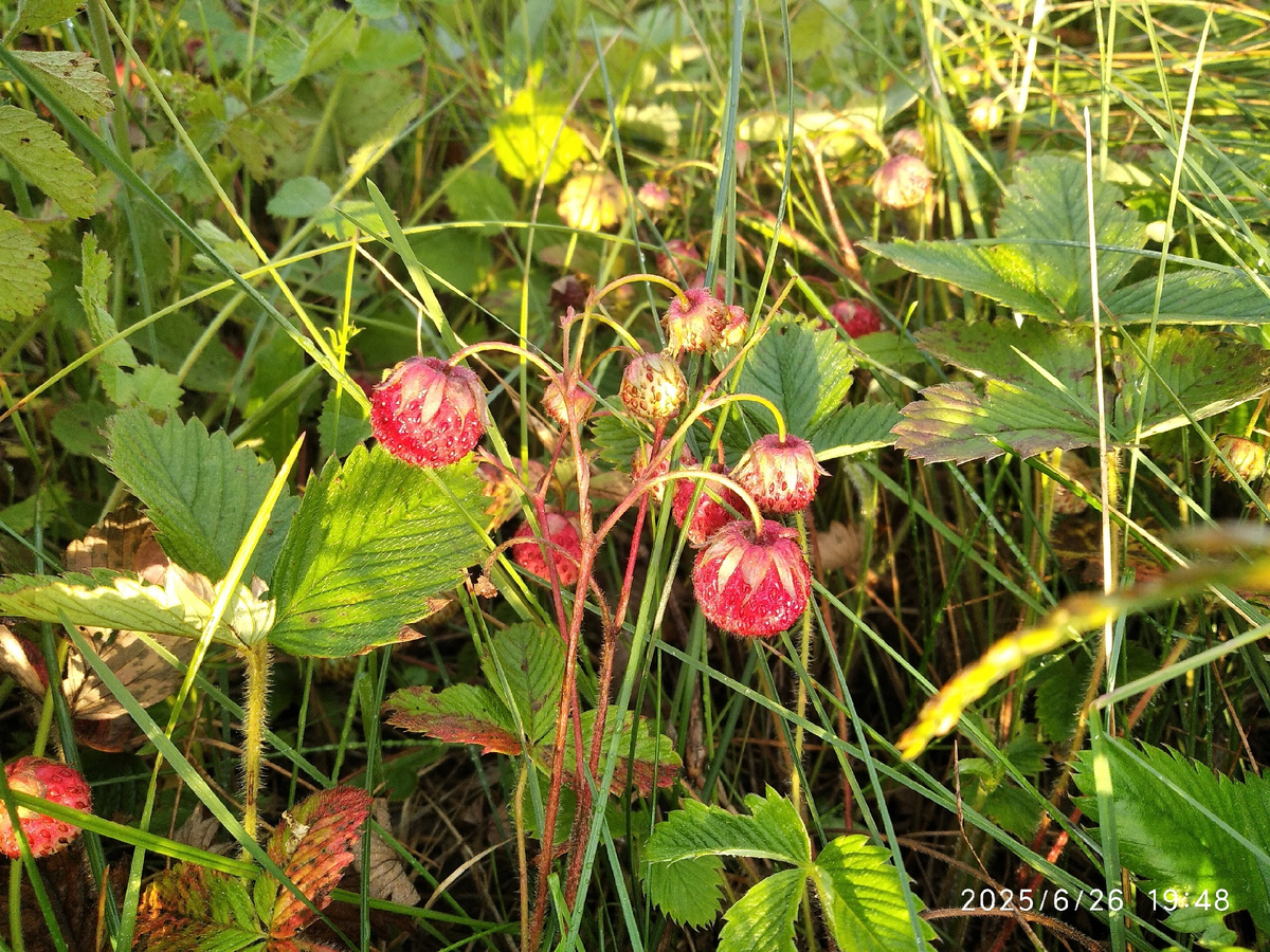 (моя фотография)