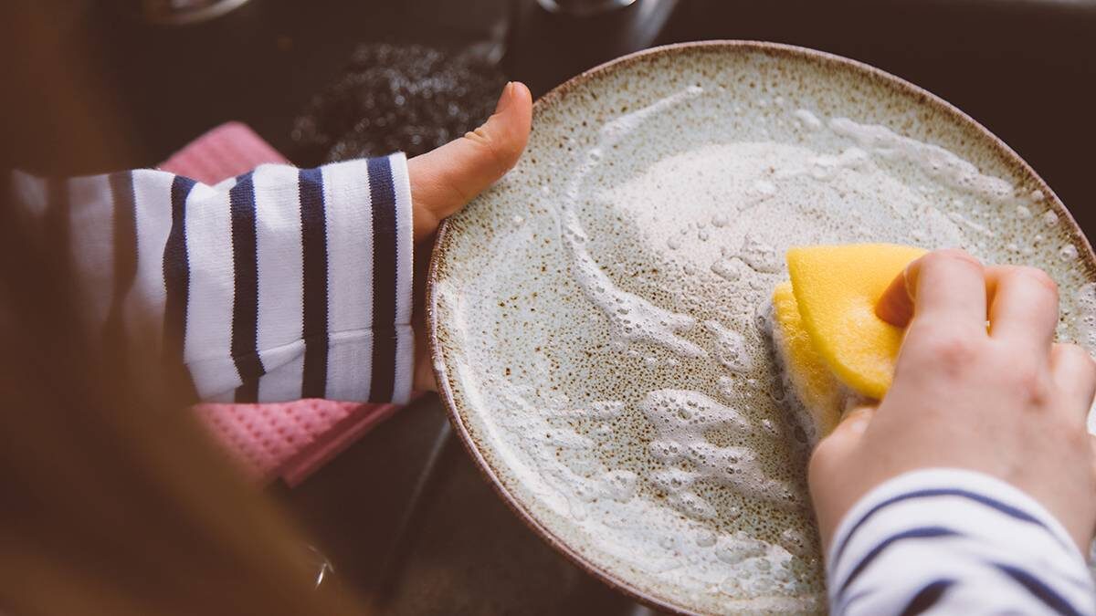    Фото: Shutterstock