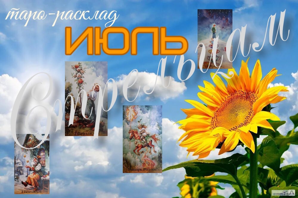 фото ЕлВита