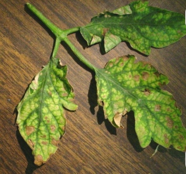 Что то типа такого... Фото из интернета 