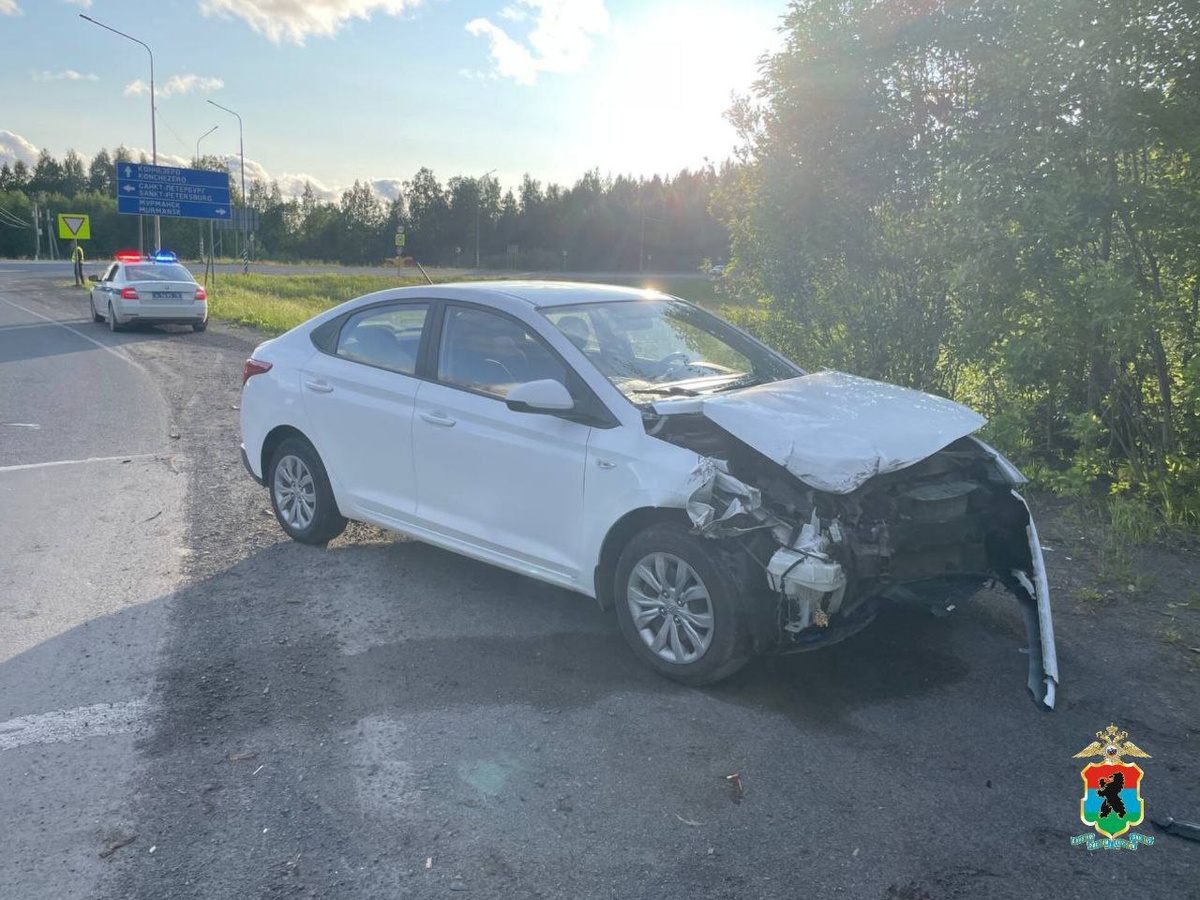    Фото: Полиция Карелии / Telegram