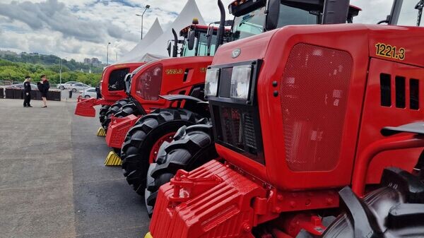    © Sputnik / Александр Жибуль