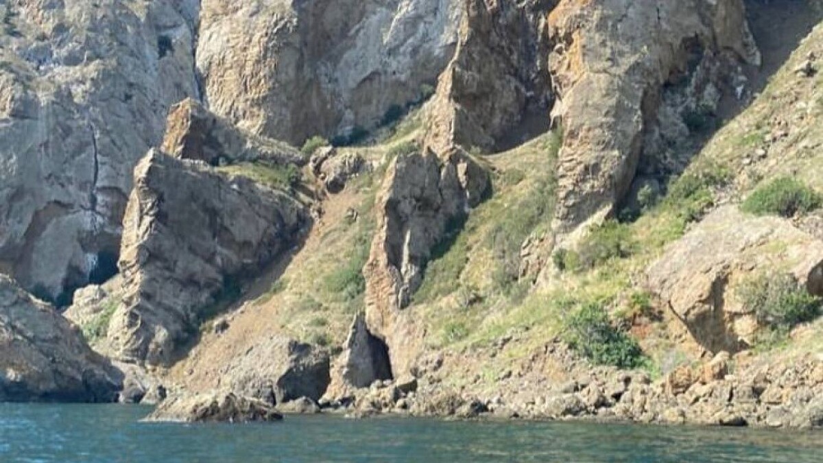    Фото: телеканал «Краснодар»