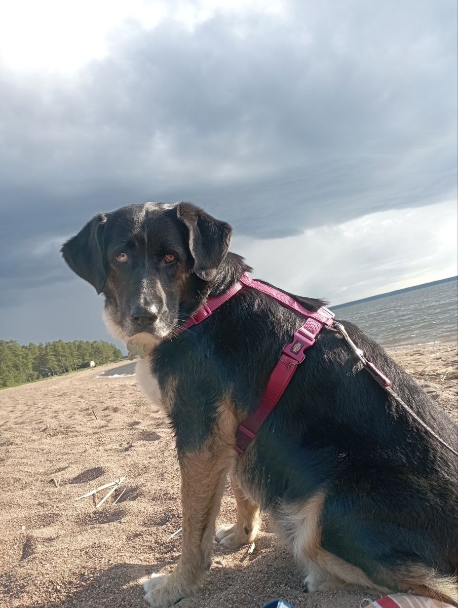 Было хорошо!