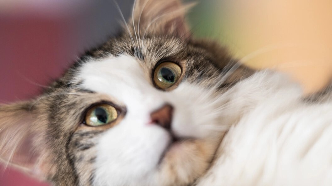    Фото: Silas Stein/Globallookpress