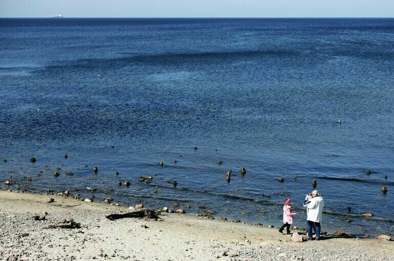   Виталий Невар / РИА Новости