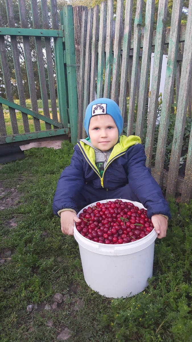 Фото автора