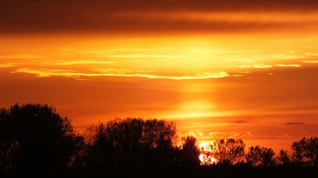    Фото: Victor Lisitsyn, Виктор Л/Globallookpress