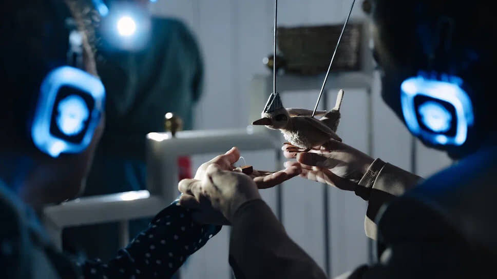 Фото: Никита Скляревский